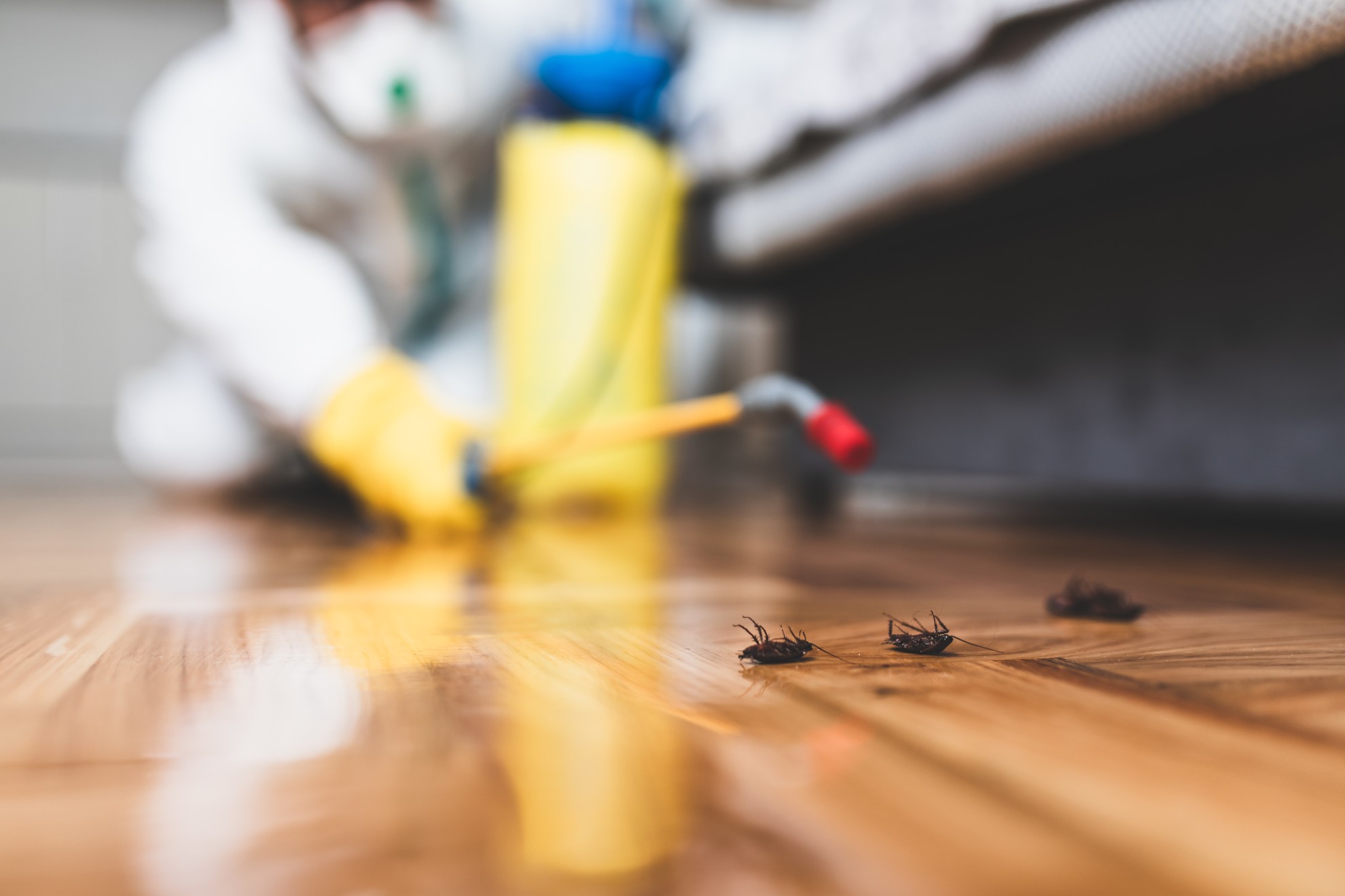 Exterminator in work wear spraying pesticide with sprayer. Selective focus.